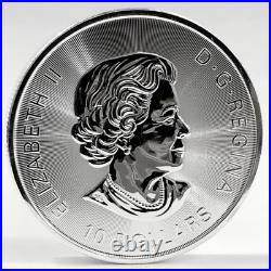 (1) 2018 Canada $10 Dollar 2oz. 9999 Silver TWIN MAPLE LEAF Bullion Coin