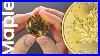 1 Oz 2024 Canadian Maple Leaf Gold Coin Royal Canadian Mint