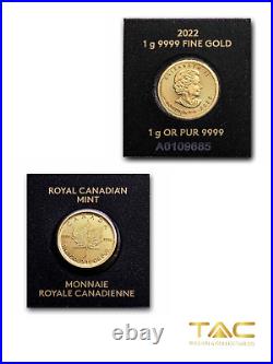 1 gram Gold Coin 2022 Canadian Maple Leaf Canadian Royal Mint