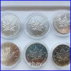 1 oz Silver Canadian Maple Leaf 2013 Coin With Capsule Coin In Great Condition