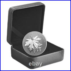 10 $ Dollar Gleaming Maple Leaves Maple Leaf Canada 1/2 Oz Silver 2025