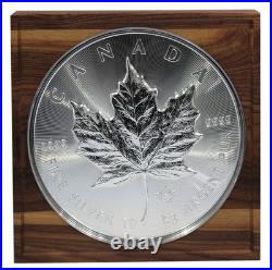 10 Kilo kg Silver Canada Maple Leaf, 2025 BU, with Chest