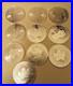 10 X Canadian Maple Silver Coins 1oz. 999.9 Fine. 2024