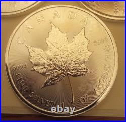10 X Canadian Maple Silver Coins 1oz. 999.9 Fine. 2024
