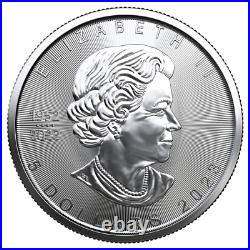 10x 1 oz Maple Leaf Silver Coins 2023 Lot 1