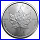 10x 1 oz Maple Leaf Silver Coins 2023 Lot 6