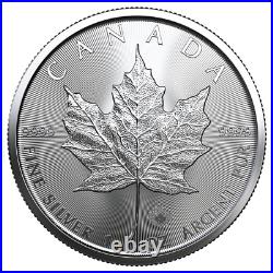 10x 1 oz Maple Leaf Silver Coins 2023 Lot 7