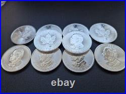 10x 1 oz Maple Leaf silver coins 2024 Lot 16