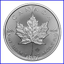 10x 1 oz Maple Leaf silver coins 2024 Lot 3