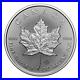 10x 1 oz Maple Leaf silver coins 2024 Lot 52