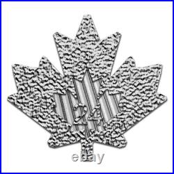 10x 1 oz Maple Leaf silver coins 2024 Lot 56
