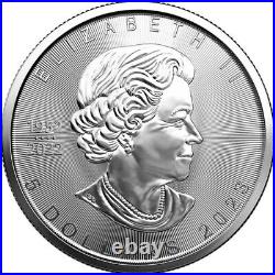 10x 1oz Silver Maple Leaf 2023 Canadian Silver Bullion Coin Lot 10