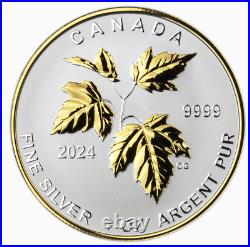 15$ Dollar Maple Leaf 5-Coin Fractional Set Canada Silver 2024
