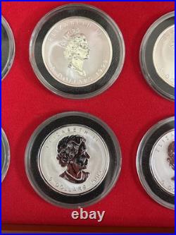 1998-2009 Maple Leaf Reverse Proof Privy Set- In Capsule With 2 Wooden Boxes