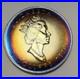 1998 Monster Toned Silver Canadian Maple Leaf Canada 9999 Silver