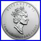 1999 2000 $5 Pure. 999 Silver Maple Leaf 1 oz Coin RCM Capsule Firework Privy