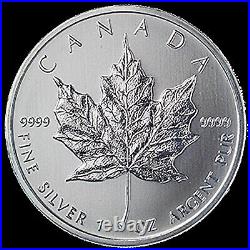 1Oz Maple Leaf Silver Coin 2010 With Warranty Free Shipping From Japan