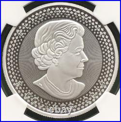 1oz Silver 2019 Canadian Maple leaf, First Release, NGC PF-69, Striking