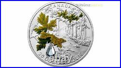 20$ Dollar Bigleaf Maple Leaf Jewel Of Rain Canada 1 OZ Silver Pp 2016