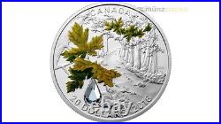 20 $ Dollar Bigleaf Maple Leaf Jewel of Rain Canada 1 oz Silver PP 2016