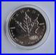2000 Canada Maple Leaf $5 Fireworks Privy Mark Silver Coin