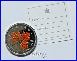 2001 $5 Coloured Maple Leaf Autumn 1 oz 999 Silver Box & COA