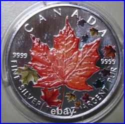 2001 Canada Maple 5 Dollars Silver 1 oz F#5747 Colored Four Seasons Autumn