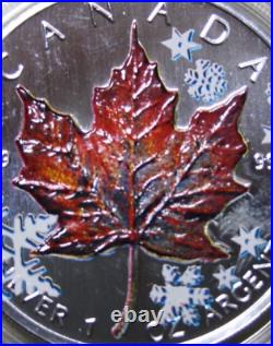 2001 Canada Maple 5 Dollars Silver 1oz F#5748 Colored Four Seasons Winter