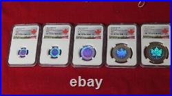 2003 Canada Silver Maple Leaf Hologram 5 Coin Set NGC Specimen SP69 SP70