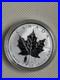 2004 Canada $5 1oz D-day Privy Mark Silver Maple Leaf Bullion coin F1