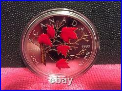 2004 Coloured Silver Maple Leaf Coin Winter withcase and sleeve