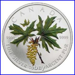 2005 $5 Coloured Maple Leaf Bigleaf Maple Pure Silver Coin 1 oz. Box & COA