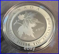 2005 $5 Maple Leaf of Hope Pure Silver Coin 1 oz. Box & COA Chinese Maple Canada