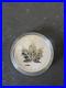 2005 Canada $5 1oz V-J day Privy Mark Silver Maple Leaf Bullion coin