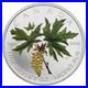 2005 Canada $5 Coloured Silver Maple Leaf