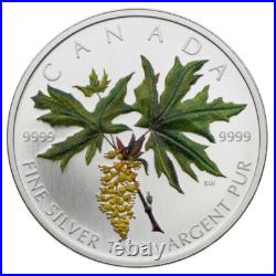 2005 Canada $5 Coloured Silver Maple Leaf