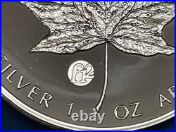 2007 1oz Silver Canadian Maple. Fabulous Collection. F12 Privy. In Capsule