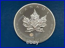 2007 1oz Silver Canadian Maple. Fabulous Collection. F12 Privy. In Capsule