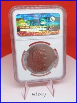 2009 Canada. 9999 Silver Maple Leaf NGC MS 68 Milk spots Canadian Royal Mint