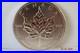 2011 1oz Canadian Maple Leaf Fine Silver Bullion Coin