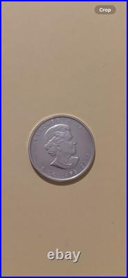 2013 Silver Maple Leaf Coin 1oz. 999 Pure. Silver Bullion