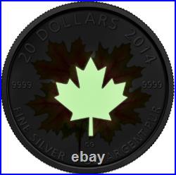 2014 Canada MAPLE LEAVES. 999 1 oz silver $20 GLOW-IN-THE DARK proof coin