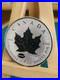 2015 1oz Canadian Maple Leaf Silver coin with E=mc^2 Einstein Privy RARE GENUINE