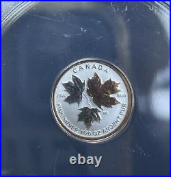 2016 $1- $5 Canadian Maple Leaf Silver Coin 5 Pc Set & Display Case