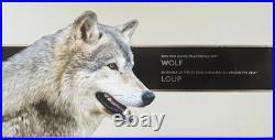 2016 4 Coin. 9999 Silver Maple Leaf Fractional Set Wolf Coa & Ogp