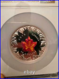 2016 Canada Autumn Radiance Murano Glass Maple Leaf 5 oz Silver Coin PF70 1900