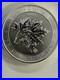 2017 1.5 oz 9999 Fine Pure Silver Reverse Proof $8 Super Canadian maple leaf
