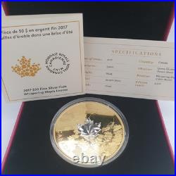 2017 Canada $50 Fine Silver Coin Whispering Maple Leaves Canadian Mint Box 9999 2017 Canada $50 Fine Silver Coin Whispering Maple Leaves Canadian Mint Box 9999