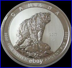 2017 Silver Canada $50 Grizzly Bear 10 Oz Coin In Capsule