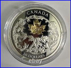 2018 $30 Fine Silver Coin Golden Maple Leaf. 999 62.69g. Leaf 18Kt Gold 1g. C573
